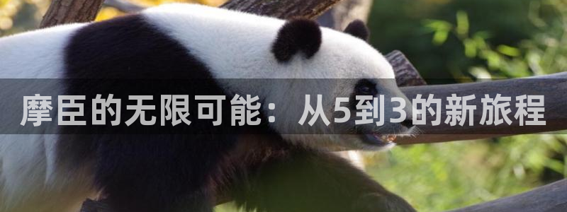 壹号下载官网入口：摩臣的无限可能：从5到3的新旅程