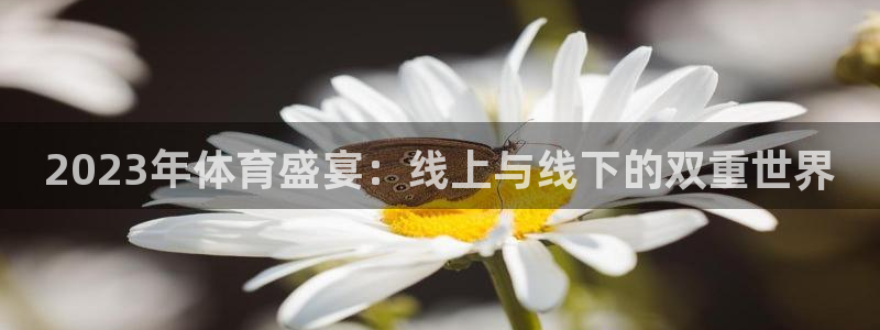 南宫NG.com：2023年体育盛宴：线上与线下的双重世界