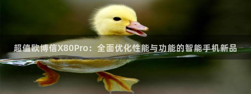 南宫NG有梦你就来：超值欧博信X80Pro：全面优化性能与功能的智能手机新品