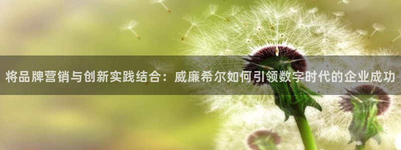 南宫NG下载入口：将品牌营销与创新实践结合：威廉希尔如何引领数字时代的企业成功