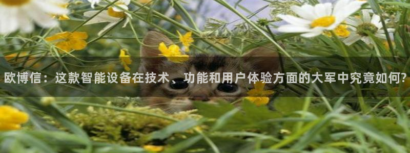 南宫NG电子游戏：欧博信：这款智能设备在技术、功能和用户体验方面的大军中究竟如何?