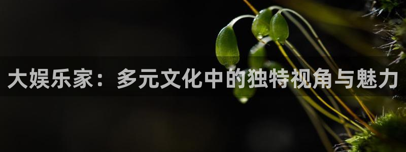 壹号大舞台网站：大娱乐家：多元文化中的独特视角与魅力