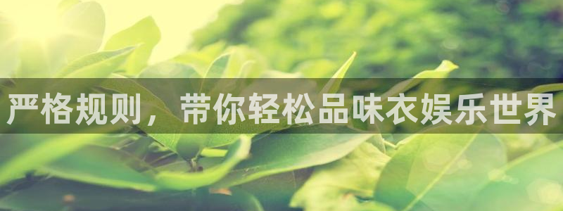 南宫南宫NG官网版：严格规则，带你轻松品味衣娱乐世界