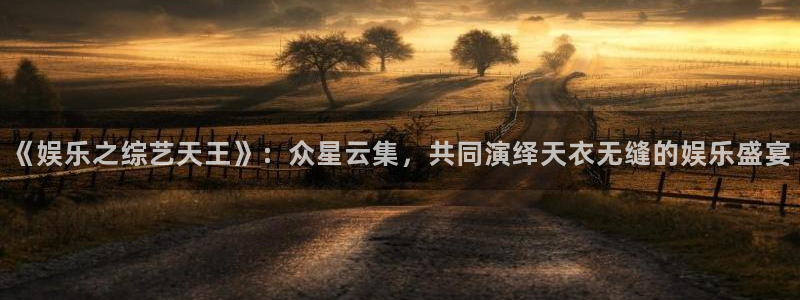 壹号平台注册链接官网下载：《娱乐之综艺天王》：众星云集，共同演绎天衣无缝的娱乐盛宴