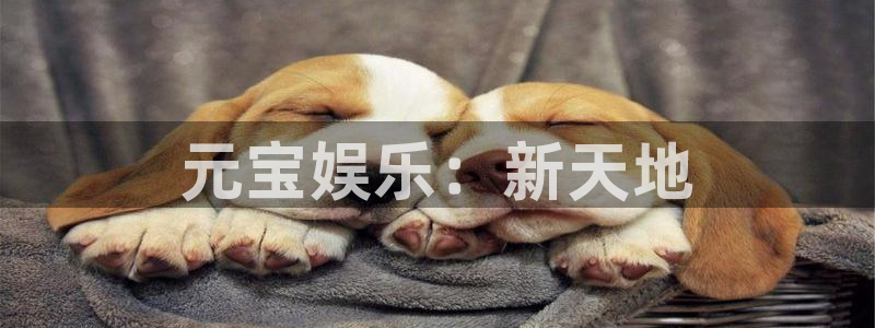 南宫NGapp下载：元宝娱乐：新天地