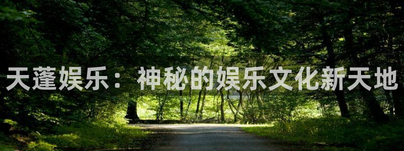 南宫NG怎么下载：天蓬娱乐：神秘的娱乐文化新天地