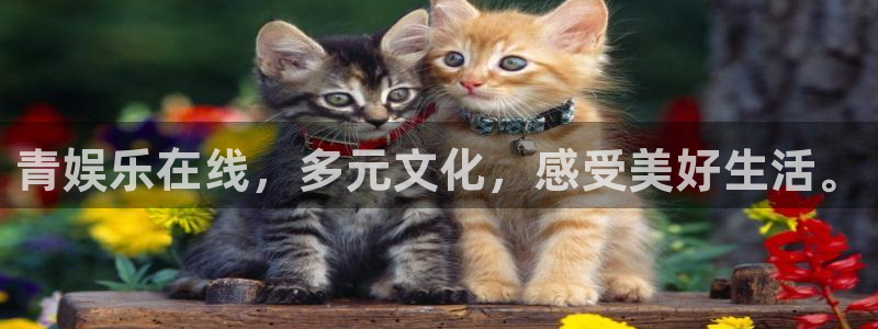 壹号平台下载：青娱乐在线，多元文化，感受美好生活。