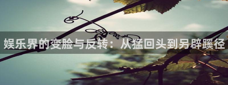 南宫NG注册登录入口：娱乐界的变脸与反转：从猛回头到另辟蹊径