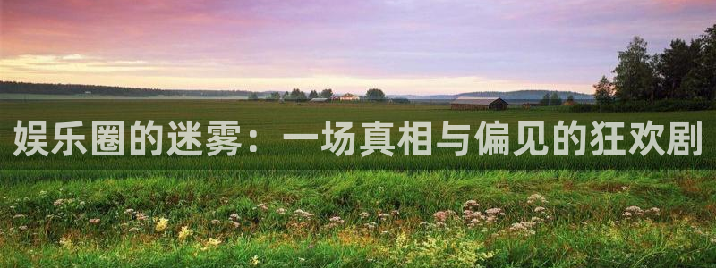 南宫NG加拿大：娱乐圈的迷雾：一场真相与偏见的狂欢剧