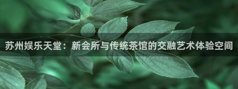 南宫NG.com：苏州娱乐天堂：新会所与传统茶馆的交融艺术体验空间