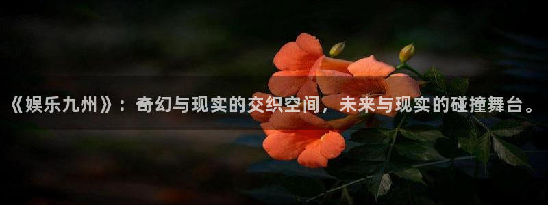 南宫NGapp官网：《娱乐九州》：奇幻与现实的交织空间，未来与现实的碰撞舞台。