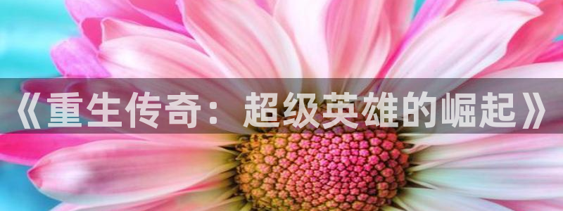 南宫NG下载官网入口在哪：《重生传奇：超级英雄的崛起》
