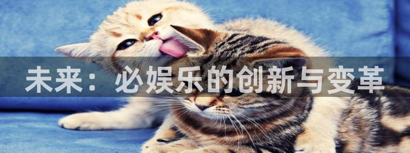 南宫NG下载链接：未来：必娱乐的创新与变革