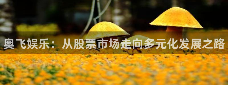 南宫NG官网地址：奥飞娱乐：从股票市场走向多元化发展之路