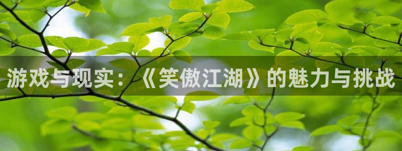 壹号大舞台官网入口：游戏与现实：《笑傲江湖》的魅力与挑战