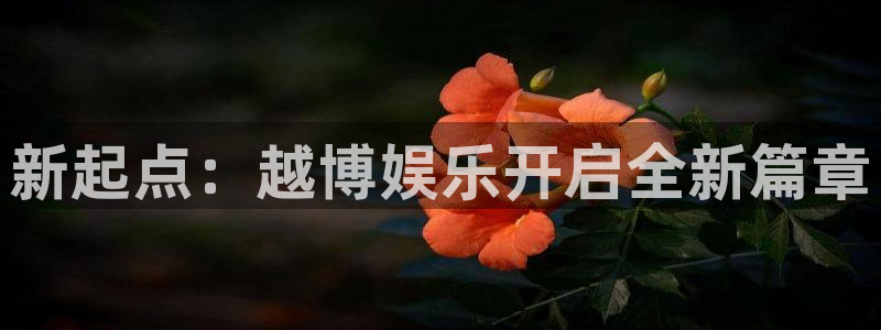 南宫NG是大平台吗：新起点：越博娱乐开启全新篇章